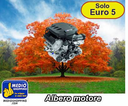 Medioshopping Albero motore