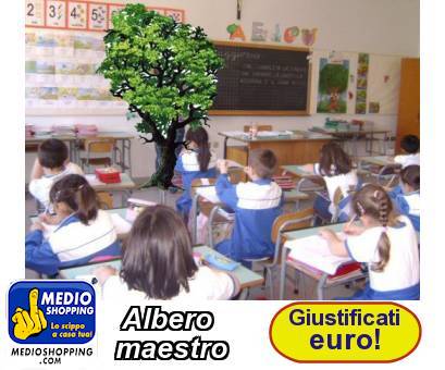 Medioshopping Albero              maestro