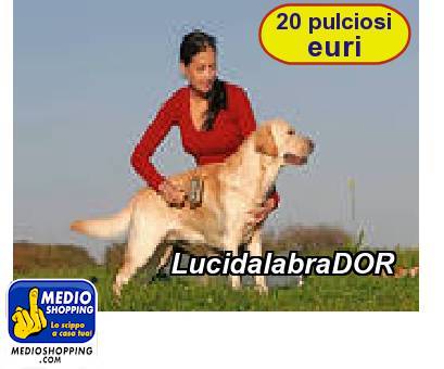 Medioshopping LucidalabraDOR