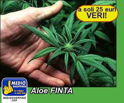 Medioshopping Aloe FINTA