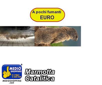 Marmotta Catalitica
