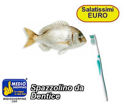 Medioshopping Spazzolino da  Dentice