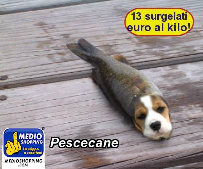 Medioshopping Pescecane