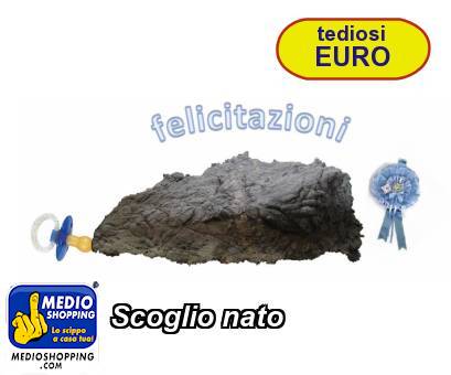 Medioshopping Scoglio nato