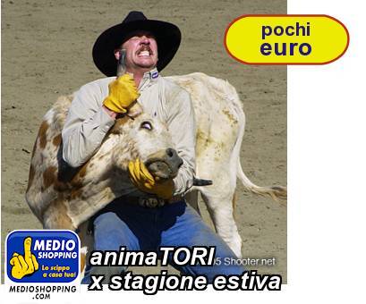 Medioshopping animaTORI x stagione estiva