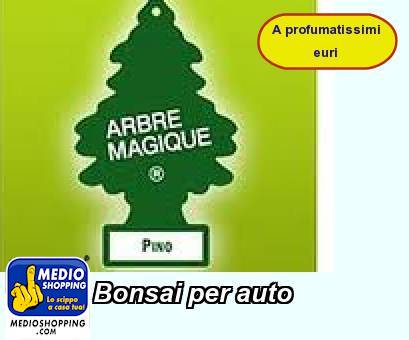 Medioshopping Bonsai per auto