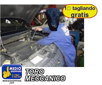 Medioshopping TORO MECCANICO