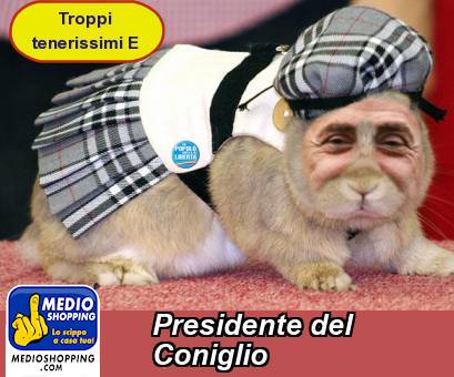 Medioshopping Presidente del Coniglio