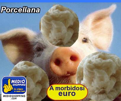 Medioshopping Porcellana