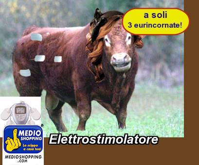 Medioshopping Elettrostimolatore