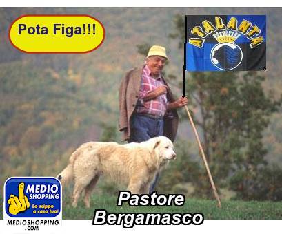 Medioshopping Pastore     Bergamasco