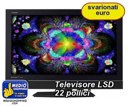 Televisore LSD 22 pollici