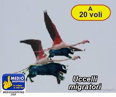 Uccelli            migratori
