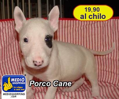 Medioshopping Porco Cane