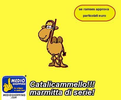 Medioshopping Catalicammello!!! marmitta di serie!