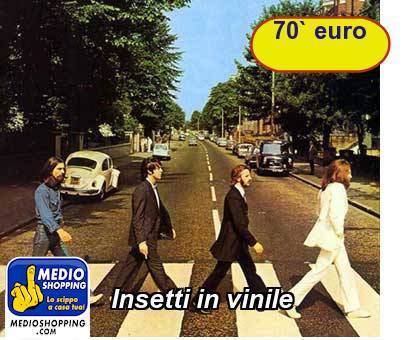 Medioshopping Insetti in vinile