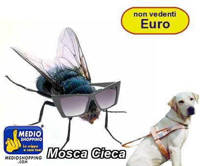 Medioshopping Mosca Cieca