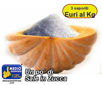 Medioshopping Un po` di Sale in Zucca