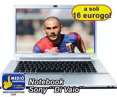 Notebook Sony ``Di Vaio``