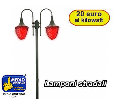 Medioshopping Lamponi stradali