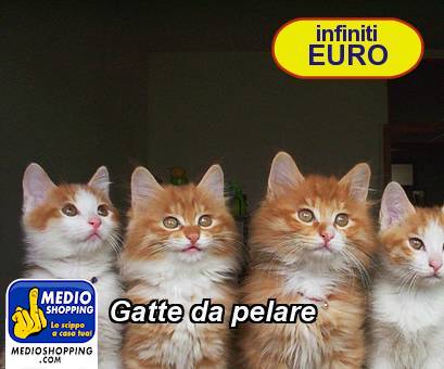 Medioshopping Gatte da pelare