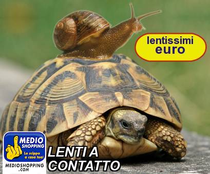 Medioshopping LENTI A CONTATTO