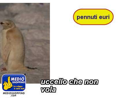 Medioshopping uccello che non vola