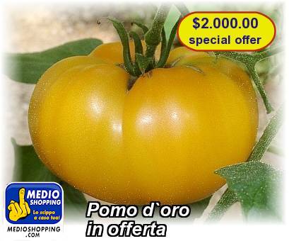 Medioshopping Pomo d`oro  in offerta