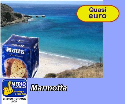 Medioshopping Marmotta