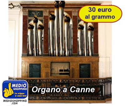 Organo a Canne