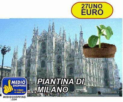 Medioshopping PIANTINA DI MILANO