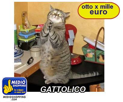 Medioshopping GATTOLICO