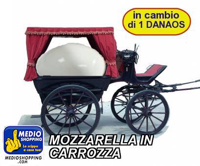 Medioshopping MOZZARELLA IN CARROZZA