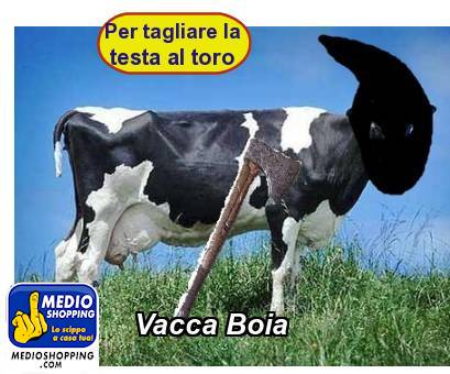 Vacca Boia