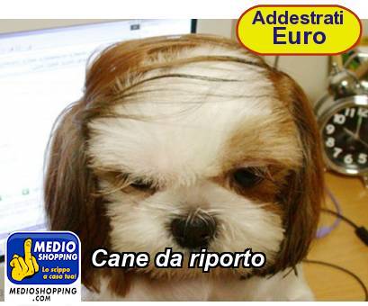 Medioshopping Cane da riporto