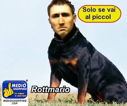 Medioshopping Rottmario