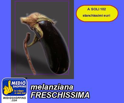 Medioshopping melanziana  FRESCHISSIMA