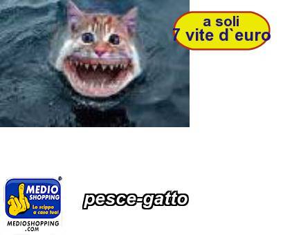 Medioshopping pesce-gatto