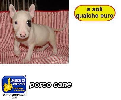 Medioshopping porco cane