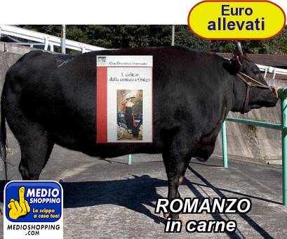 Medioshopping ROMANZO         in carne