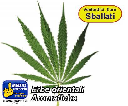 Medioshopping Erbe orientali Aromatiche