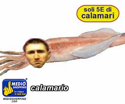 Medioshopping calamario