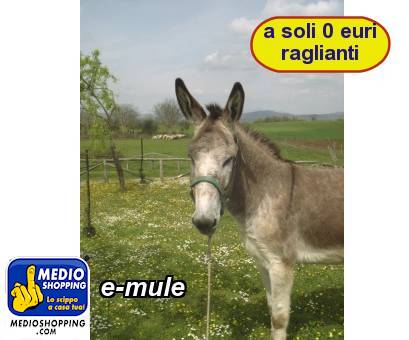 e-mule
