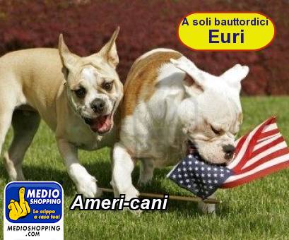 Medioshopping Ameri-cani