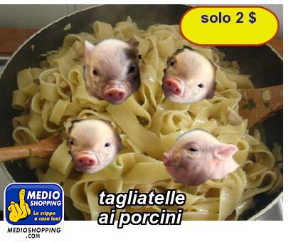 Medioshopping tagliatelle  ai porcini