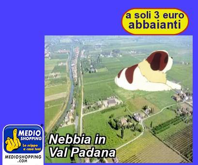 Medioshopping Nebbia in Val Padana