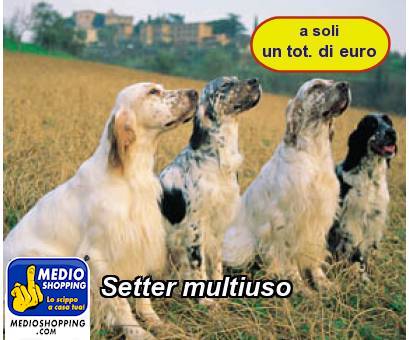 Medioshopping Setter multiuso