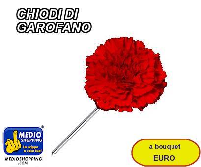 Medioshopping CHIODI DI      GAROFANO