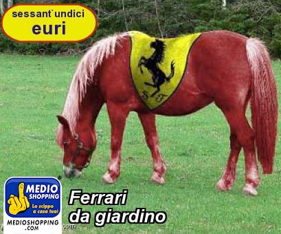 Medioshopping Ferrari da giardino