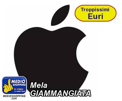 Medioshopping Mela GIAMMANGIATA